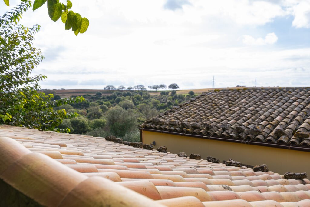 Vista dai tetti di un agriturismo sulla campagna siciliana con uliveti – fotografia VA Photo
